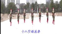 动动2016最新广场舞《绽放的军中绿花》含背面分解动作教学下载