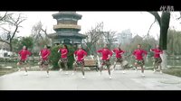 2016最新广场舞《风之花》