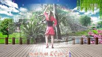 重庆宝娜广场舞-送你一首吉祥的歌 正反面分