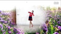 阿采广场舞DJ 2016《春暖花开》 含教学和背