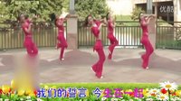 杨丽萍广场舞《伤不起的爱情伤不起的你》教