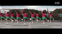 丽萍2016最新广场舞《一生唱情歌》