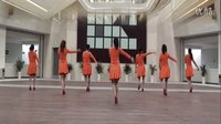 茉莉广场舞2016《这也不对那也不对》下载