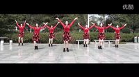 丽萍2016最新广场舞《亲亲草原》