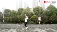 湖南小帅广场舞《最美中国》原创编舞附教学