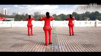 丽萍2016最新广场舞《陪着你》