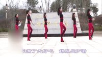 杨丽萍广场舞《欢喜就好》教学视频