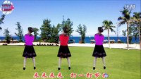 宇美广场舞2016《神州舞起来》背面演示及口