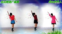 阿采广场舞《花心的男人》楠楠编舞