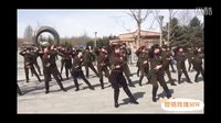 天鹅晚归— 北京陶然水兵舞第七套