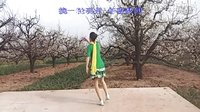 雨魂原创广场舞《一生一世爱能几回》个人演