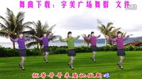 大宇广场舞《花开草原》