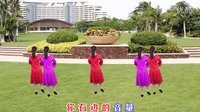 大宇广场舞《美美哒》