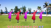 大宇广场舞《亲吻草原》