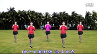 大宇广场舞《草原上的哥哥》