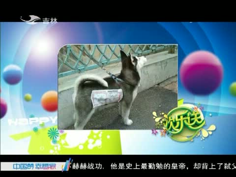 欢乐送20150421
