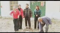 安徽民间小调《秃子戏寡妇》03
