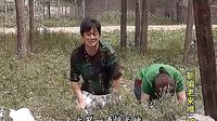 沂蒙小调老来难：10集