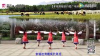 春英广场舞《吉祥藏历年》正反面及教学