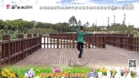 春英广场舞2016《妈妈就是我的梦》正反面及