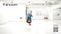 艺莞儿广场舞《百花香》正反面及教学