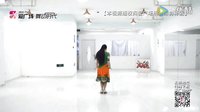 艺莞儿广场舞《彩云之南》正反面及教学