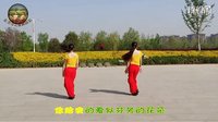 冬之雪广场舞《多的多》视频 编舞：冬之雪