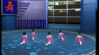 幼儿舞蹈教学视频 蜻蜓