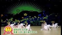 幼儿舞蹈教学视频 吉祥三宝