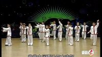 幼儿舞蹈教学视频 精忠报国