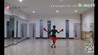星月广场舞《 大火的歌》正反面及教学