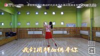 星月广场舞《嫂子颂》正反面及教学
