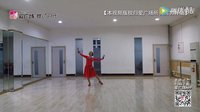 星月广场舞《世界上最美的花》正反面及教学