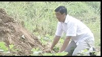 民间小调帅哥泡富婆： 第一集