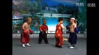 世界拳王争霸赛 小矮人搞笑二人转小品下载