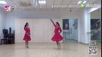 花与影独家新舞《桃花美桃花开》