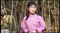 民间小调血泪仇：1