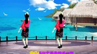 2016最新吕芳广场舞《百年好合》正背面 杨