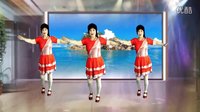 2016最新吕芳广场舞《走进你的世界》正背面及分解下载