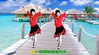 2016最新吕芳广场舞《一代天骄》正背面编舞