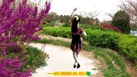 2016最新吕芳广场舞《月光里的新娘》正背面