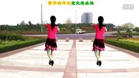 2016最新吕芳广场舞《求求你给点爱》正背面