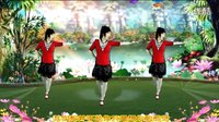 2016最新吕芳广场舞《梦中想着你》正背面及