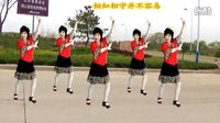 2016最新吕芳广场舞《幸福因为有你》青儿编