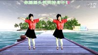 2016年最新吕芳广场舞《爱情伤不起》正背面