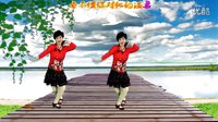 2016最新吕芳广场舞《我情愿做你的手机》正