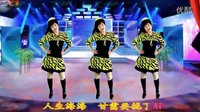 2016最新吕芳广场舞《喜欢就好》编舞杨丽萍