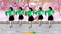 2016最新吕芳广场舞《不能不想你》正背面及