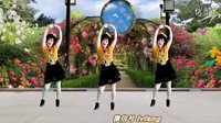 2016最新吕芳广场舞《青春舞曲》正背面及分