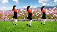 2016最新吕芳广场舞《不做你幸福的玫瑰》32